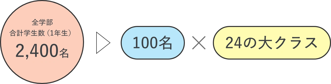 全学部1年生の合計2,400名が、100名ずつの24大クラスに分けられる編成図。