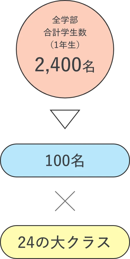 全学部1年生の合計2,400名が、100名ずつの24大クラスに分けられる編成図。